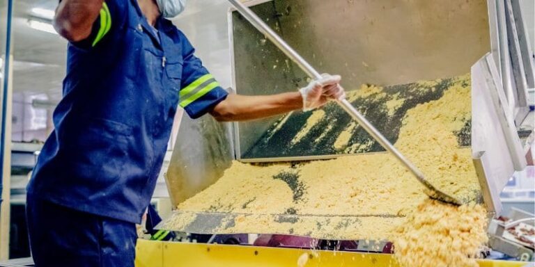 Idées d'affaires dans l'industrie agroalimentaire africaine.